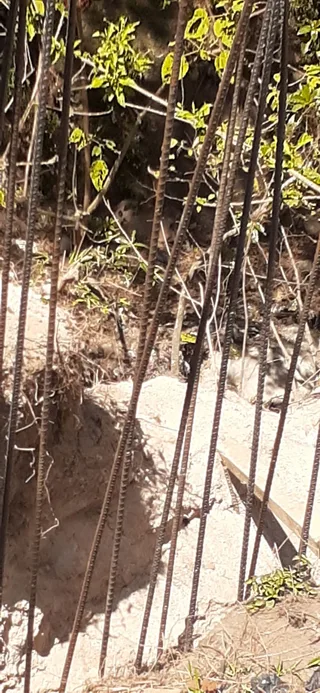 Avance de obra del 24/04/2026 — foto 4